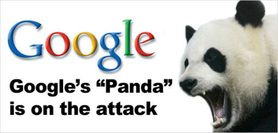 huong-dan-cach-bao-ve-site-cua-ban-tu-google-panda