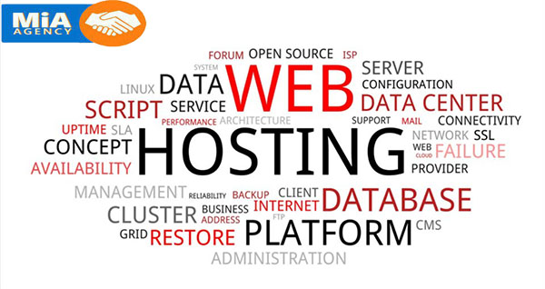 Phần mềm quản trị web Hosting