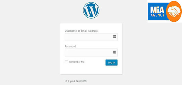 Quên mật khẩu quản trị website