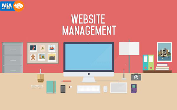 quản trị web là gì, công việc của một quản trị website