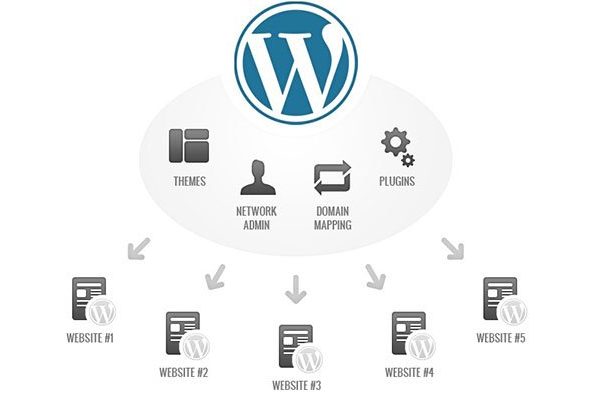 Bạn hiểu gì về WordPress Multisite?